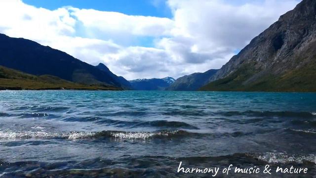 【ASMR】4K Ireland River Water Sounds Healing Relaxation Meditation 『Water sound Movie 』 смотреть онлайн