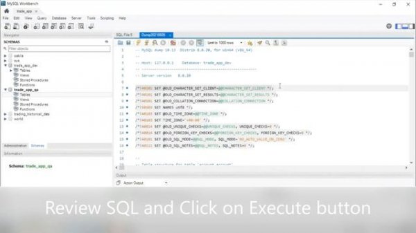 MySQL database SQL import using MySQL Workbench