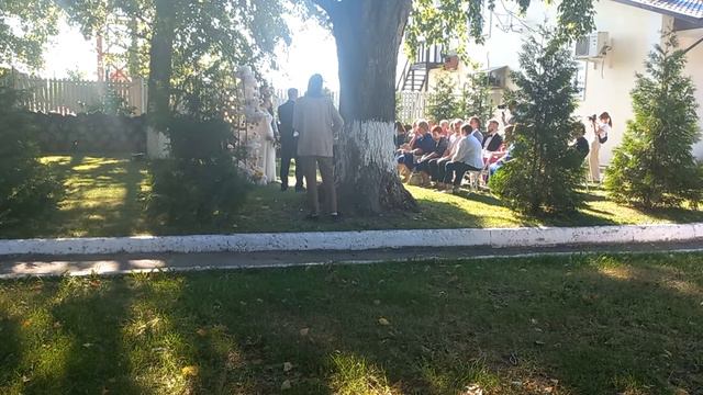 Свадьба около кафе подсолнуха смотреть онлайн