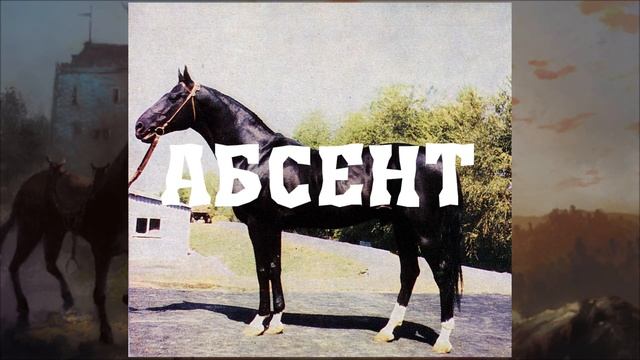 Легендарные и знаменитые лошади смотреть онлайн