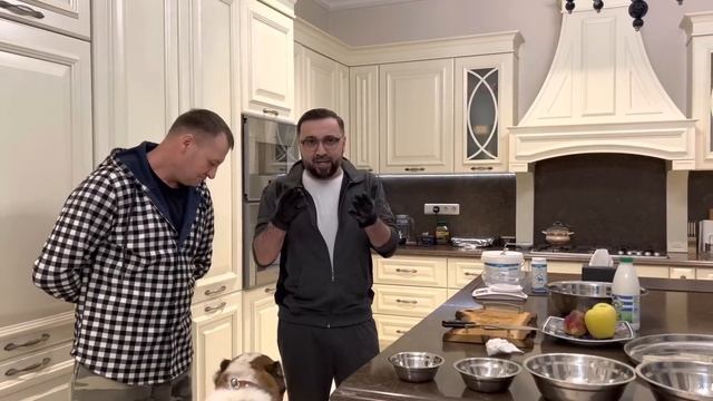 Питбуль Граф…Вокал…Перекус…Разбор коммент…Сегодня «СТРИМ» смотреть онлайн