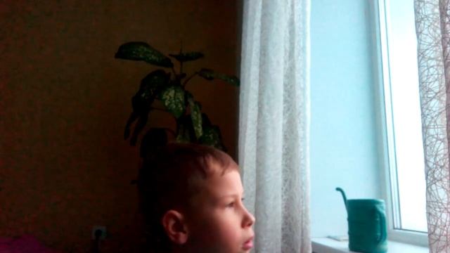 Лунтик новогодние серии ёлочка смотреть онлайн