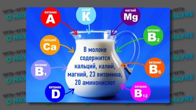 МОЛОКО. Опровержение стереотипов. Вред и польза. Как делают молоко [Спроси Ученого] смотреть онлайн