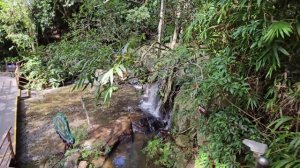 ХАЙНАНЬ ЭКСКУРСИИ ЧАСТЬ - 5 ПАРК ЯНОДА И УЖИН В ОТЕЛЕ ХАРМАН