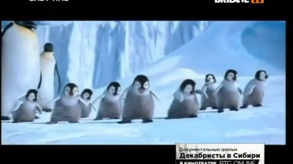 Prince - The Song Of The Heart (BRIDGE TV) Baby Time