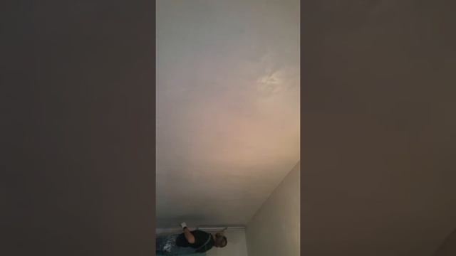 EP450TX Airless Paint Sprayer Spray  In House