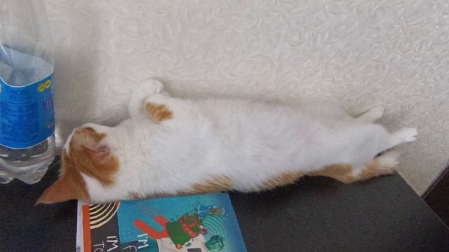 Кузя смотреть онлайн