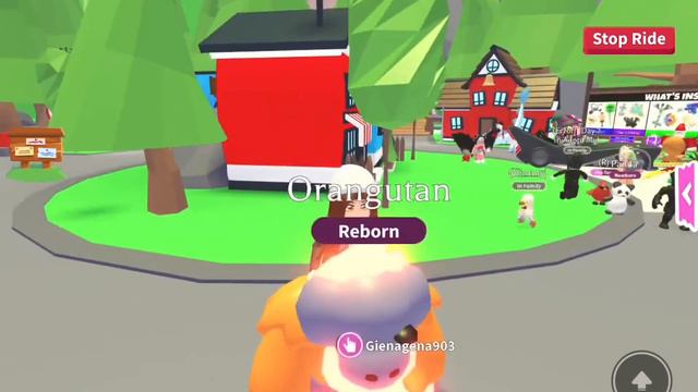 Adopt Me Roblox. Новый неоновый Орангутанг. New Neon Orangutan.