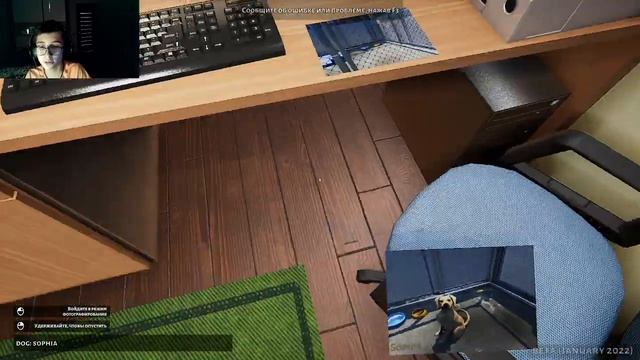 построил душ и помыл первую собаку #2 #animal shelter смотреть онлайн