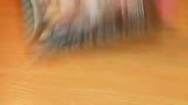 Мои покупки МОНСТР ХАЙ!!!!! смотреть онлайн