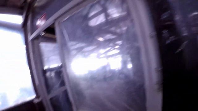 Five year long tig catfish co-hab experiment fiasco: from 11 adults, 5-7 yo, 22"-27", down to 1 смотреть онлайн