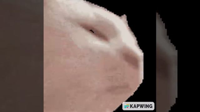 UAC Atlantica Loop смотреть онлайн