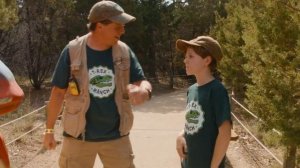 Динозавры играют в прятки | Ти-рексы - Динозавры для детей