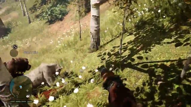 Bear vs tiger смотреть онлайн
