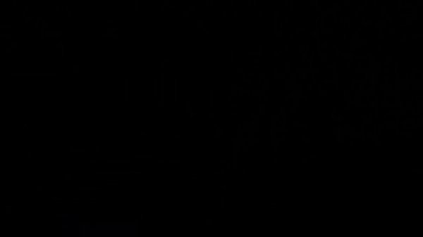 "Shadow of Life" Game Concept Video