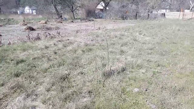 Очередная Попытка покорить Пустыню