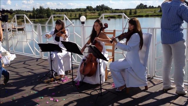 Свадьба на причале - скрипки и виолончель (трио DOLLS)