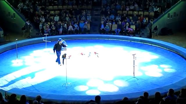 Ижевск. Мы в цирке. Огромный орел.