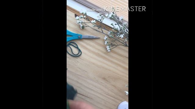 Crochet A Newborn Beret Hat