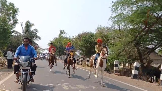 HORSE RACE?? смотреть онлайн