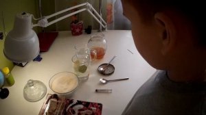 Муравьи Жнецы 1000 особей кормление сахарным и медовым сиропом.