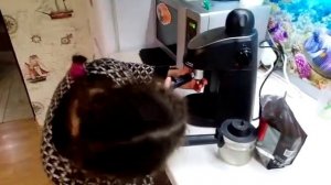 Delta lux DL-8150K учимся делать кофе