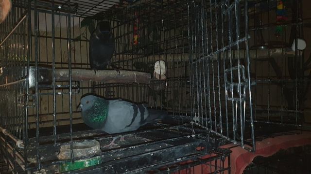 Вот это поворот! смотреть онлайн