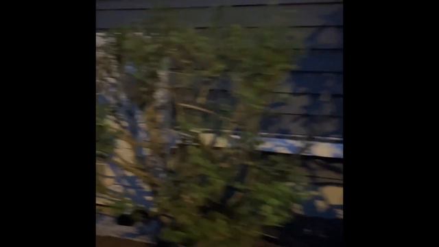 Mitsubishi intelli heat installation смотреть онлайн