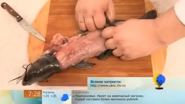 Как правильно и быстро разделать сома смотреть онлайн