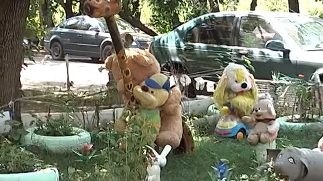 Украшение палисадников - дело немногочисленных энтузиастов