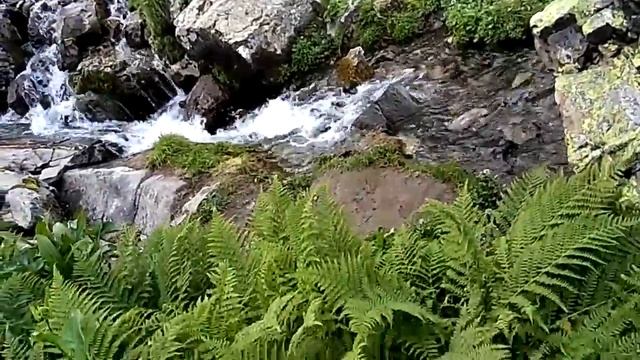 Горы Красной Поляны.mp4 смотреть онлайн