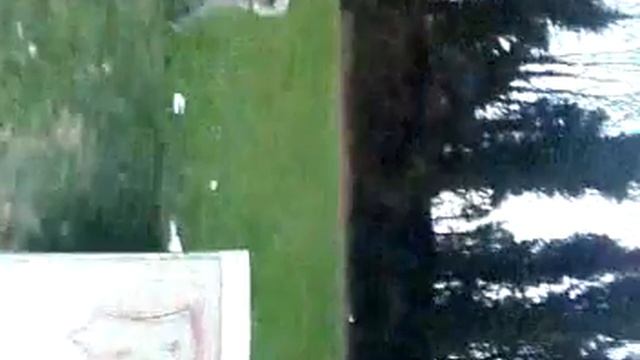 PurelyRicardo (me) and My Mates Jackass Joey Front tuck смотреть онлайн