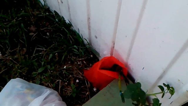 Ванна установлена, отверстия пробурены смотреть онлайн