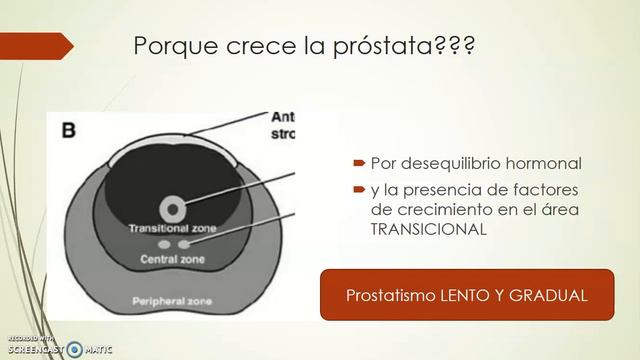 Sindrome de Obstruccion Urinaria Baja A смотреть онлайн