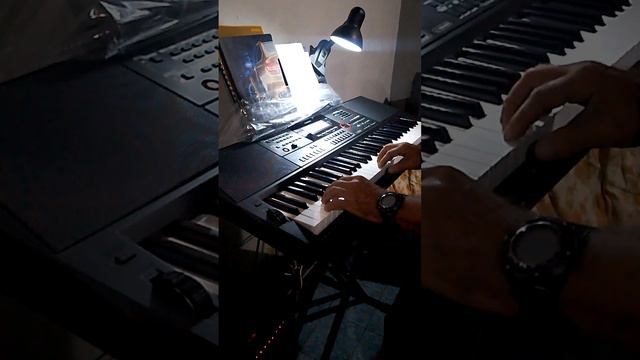 teclados Casio ct x5000 este ritmo se ajusta a esta canción.... смотреть онлайн