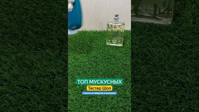 Мускусные женские ароматы. Духи для женщин с нотой мускус. #тестершоп смотреть онлайн