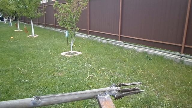 Как удалить сорняки на газоне (лучший метод 2020 года) смотреть онлайн