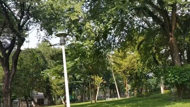 Тайланд. Бангкок. Прогулка. Парк Люмпини ? смотреть онлайн