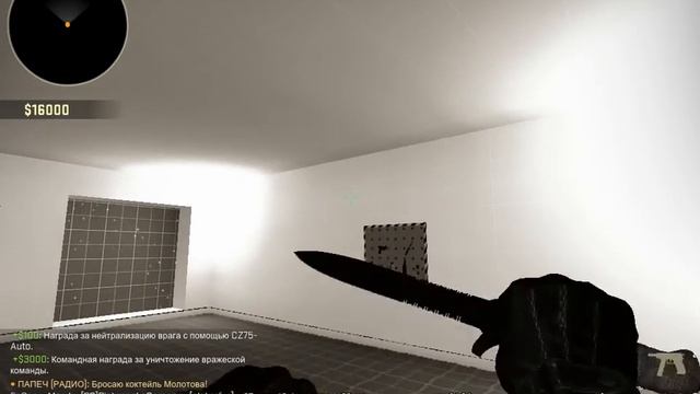 CS:GO игра с Серго | поспорили на кейсы! смотреть онлайн