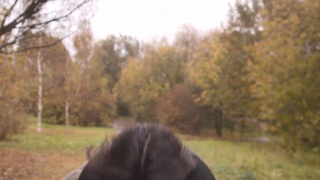 Xiaomi Fan Unboxing | Xiaomi Watch 2 Pro смотреть онлайн