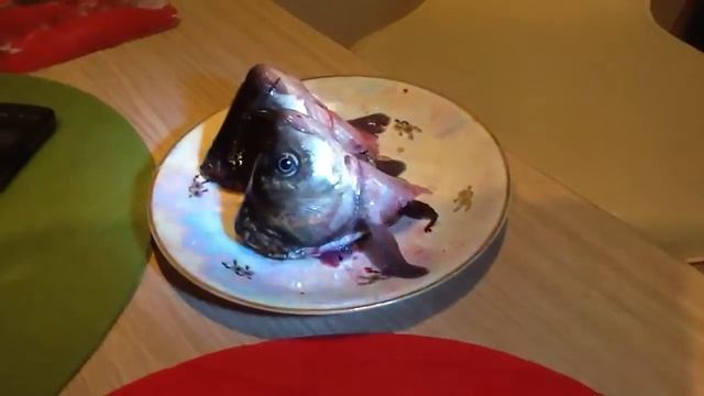 Живая голова карася смотреть онлайн