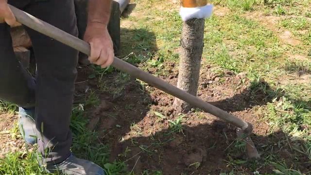 Дачные истории#93. Чиню тяпку и косу, строю бунгало Поливаю деревья. смотреть онлайн