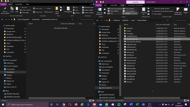 Como instalar Selenium e ChromeDriver смотреть онлайн