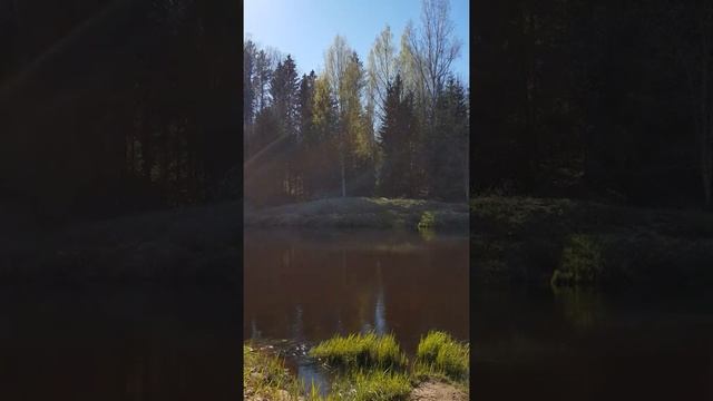 Вс, Солнце, мантра Сурье, on namo suryaya namaha, смотреть онлайн