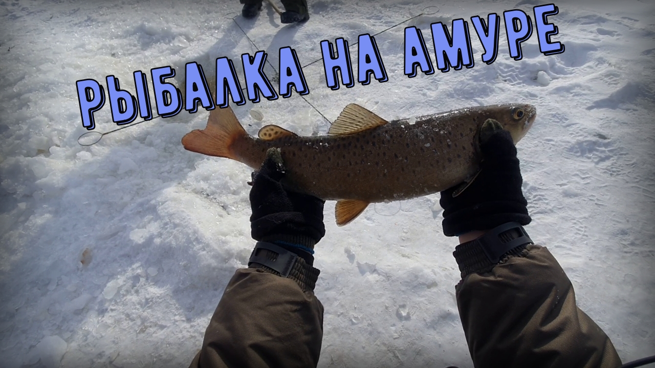 Ловля щукаря на амуре в глухозимье смотреть онлайн
