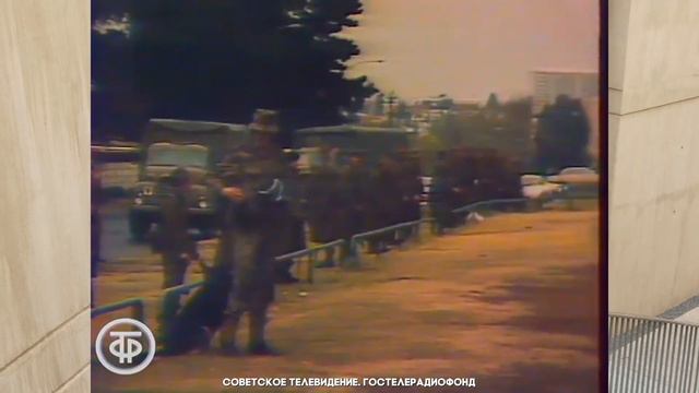 Как мы ВЫЖИВАЛИ в самом ОПАСНОМ городе Южной Африки | ЙОХАННЕСБУРГ смотреть онлайн
