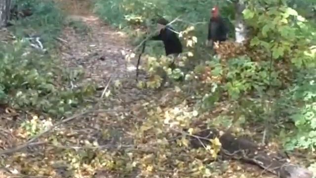 Джип поход по Самарской Луке.avi смотреть онлайн