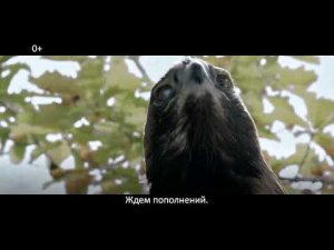 Смотрите, вместе у нас получается! Орлица