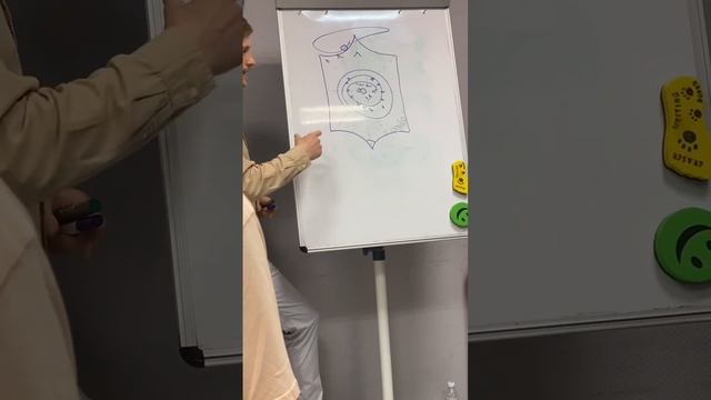 Золотник. Зачем нужна Правка Живота. смотреть онлайн