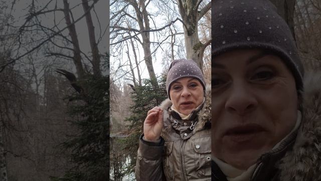 школы разные нужны, школы разные Важны!!! смотреть онлайн